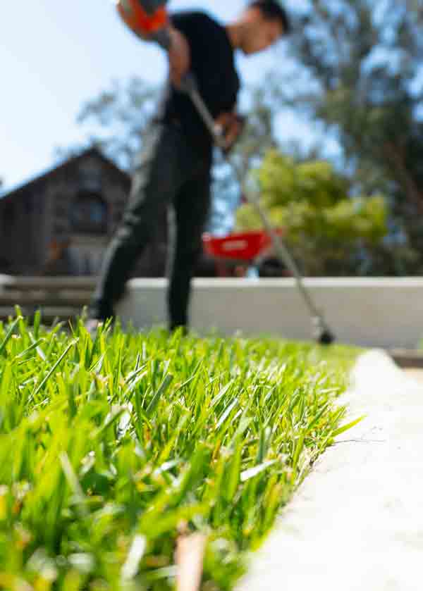 Lawn and landscape maintenance in Vicksburg, Michigan